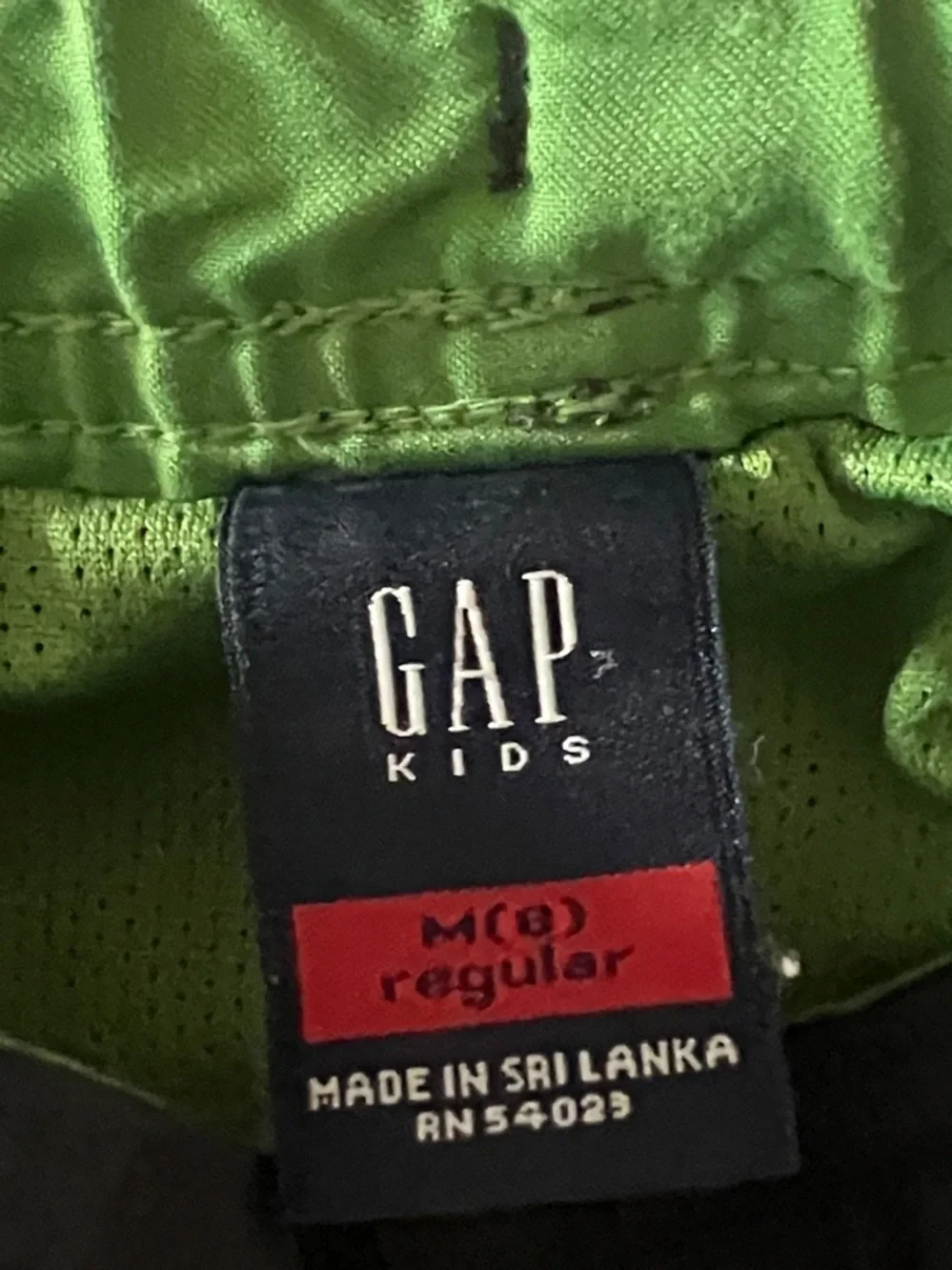 GAP lined brief